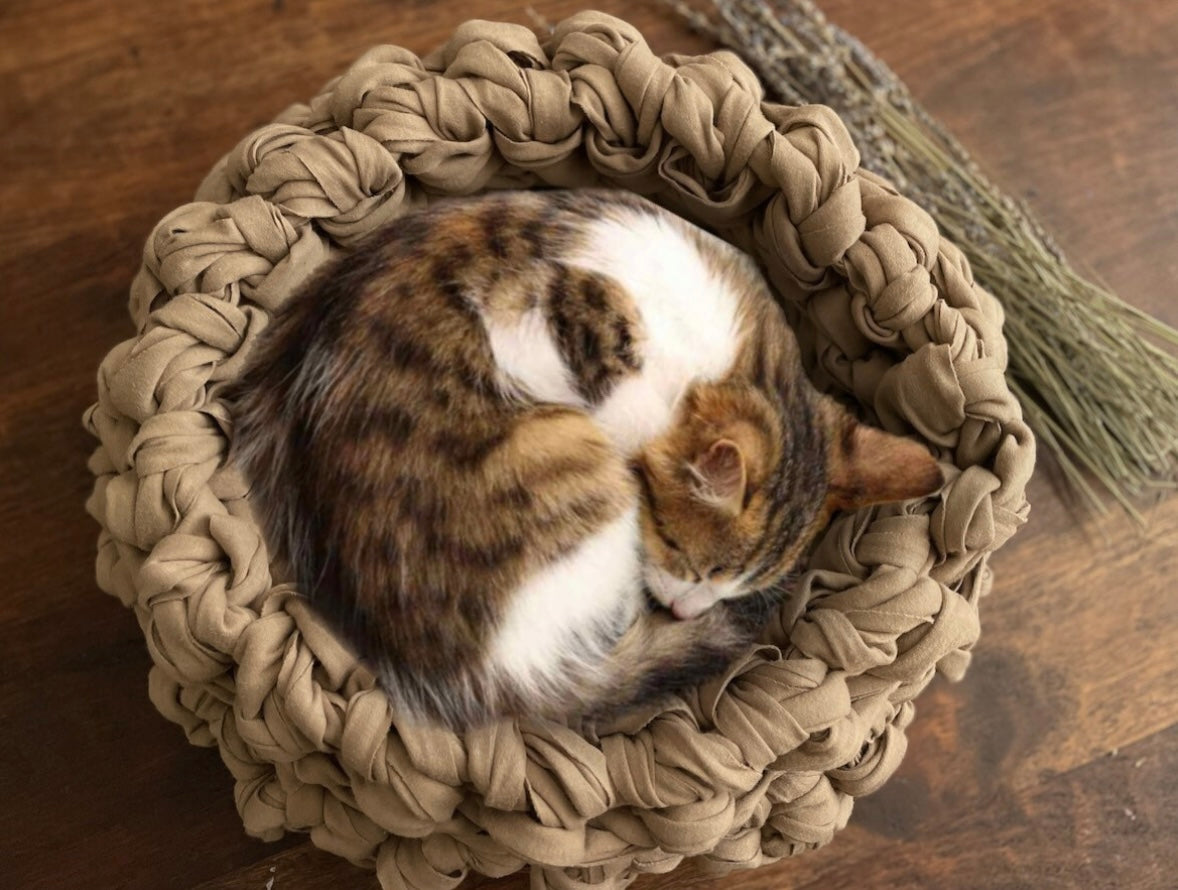 Beautiful deals cat beds